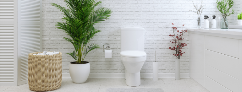 choosing a toilet bathroom design banner